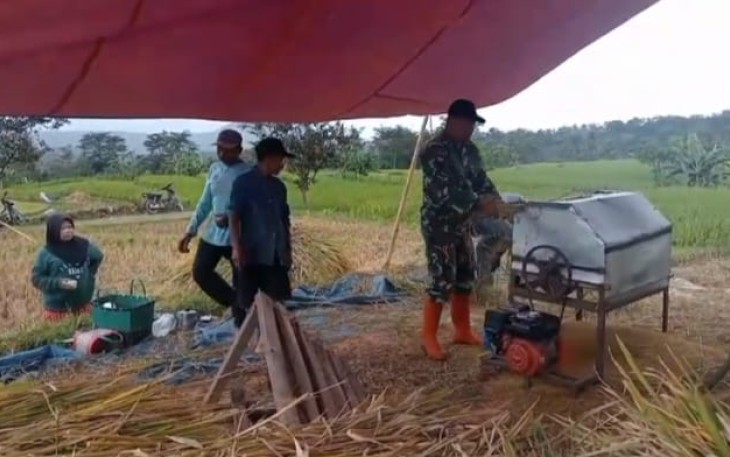 Merontokkan padi hasil panen petani desa binaan 