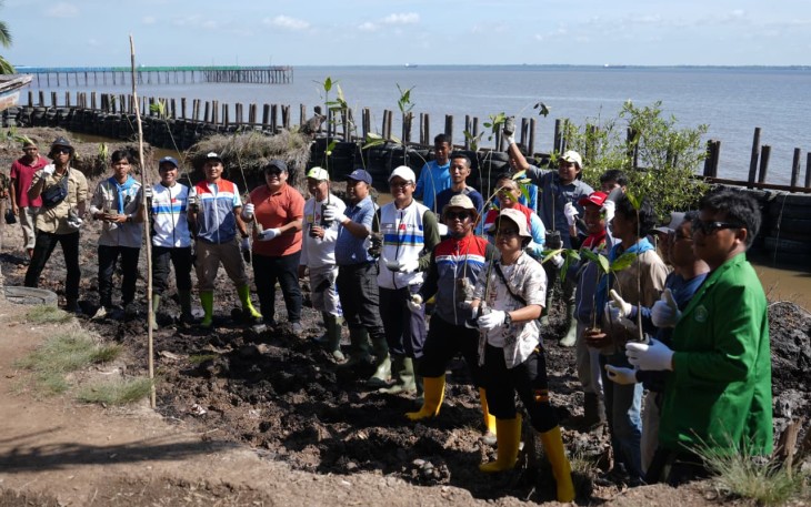 Rehabilitasi pesisir pantai Mundam-Dumai, Riau