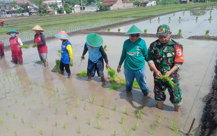 Tanam padi bersama warga binaan