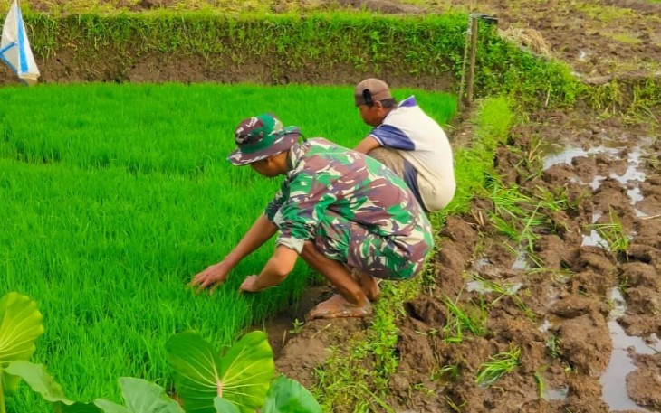 Serda Suharyanto Laksanakan Komsos Dengan Petani