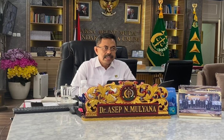 JAM-Pidum Prof. Dr. Asep Nana Mulyana