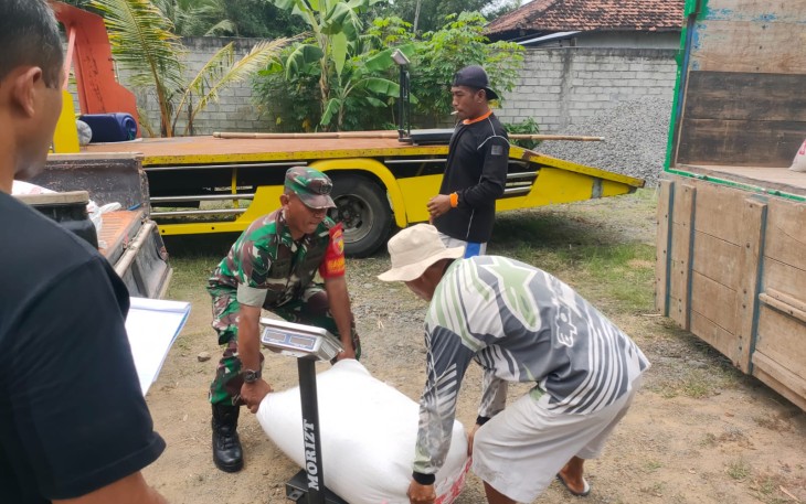 Babinsa Trenggalek dan Petani Satukan Langkah Jaga Ketahanan Pangan