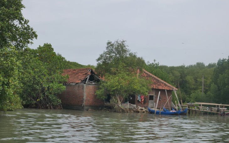 Lokasi penanaman di wilayah Bedono, Demak (Foto: Tim LindungiHutan)