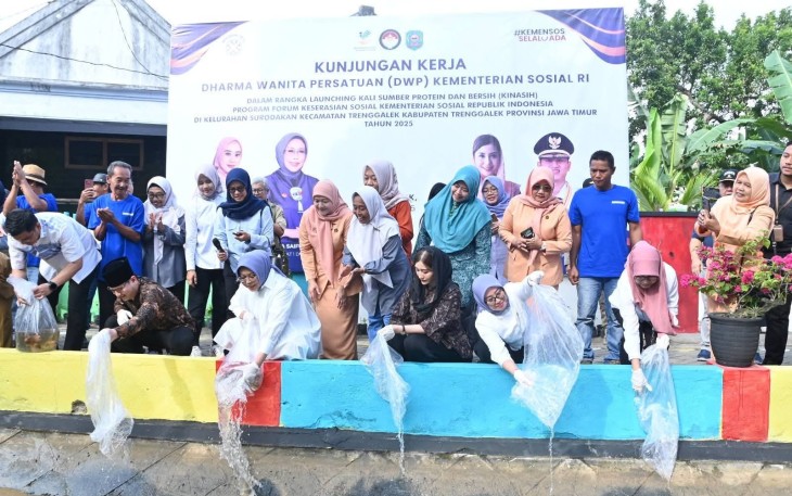 Novita Hardini bersama Fatma Saifullah Yusuf, Penasihat I Dharma Wanita Persatuan (DWP), Kementerian Sosial (Kemensos), saat tebar benih Ikan Nila di salah satu sungai Kelurahan Surodakan, Kecamatan Trenggalek, Kabupaten Trenggalek, Senin (23/6/2025).