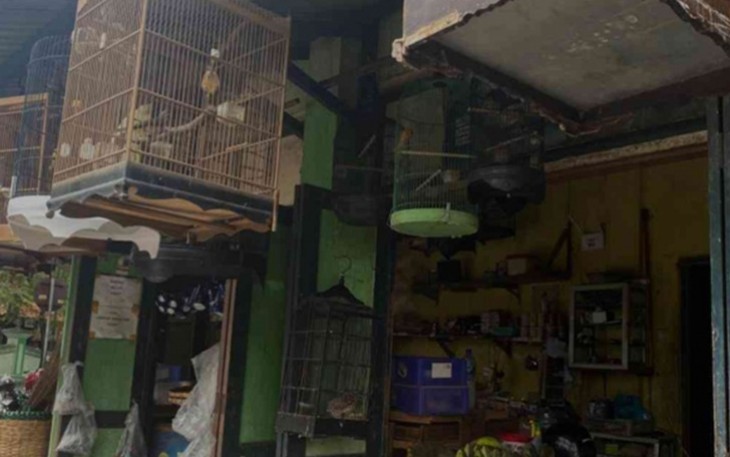 Beberapa sangkar burung tergantung rapi di lapak kecil Pak Kelih