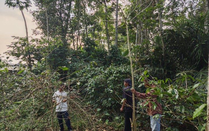 Pendampingan praktik langsung di kebun bersama para petani..jpg
