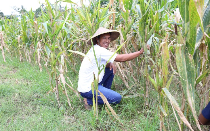 Petani muda Desa Soso, Aris Setiawan (37).