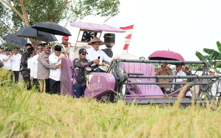 Panen raya padi di Kawasan Transmigrasi Cahaya Baru, Desa Karang Indah, Kecamatan Mandastana, Kabupaten Barito Kuala (Batola), Provinsi Kalimantan Selatan, 20/8/2025.