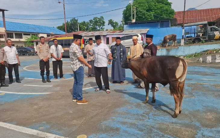 Kapolres Bitung, AKBP Albert Zai, SIK.,MH saat menyerahkan hewan kurban secata simbolis kepada panitia kurban Polres Bitung