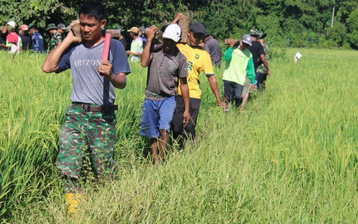 Semangat Kebersamaan Satgas TMMD Kodim 1405/Parepare Bersama Warga Angkat Batu