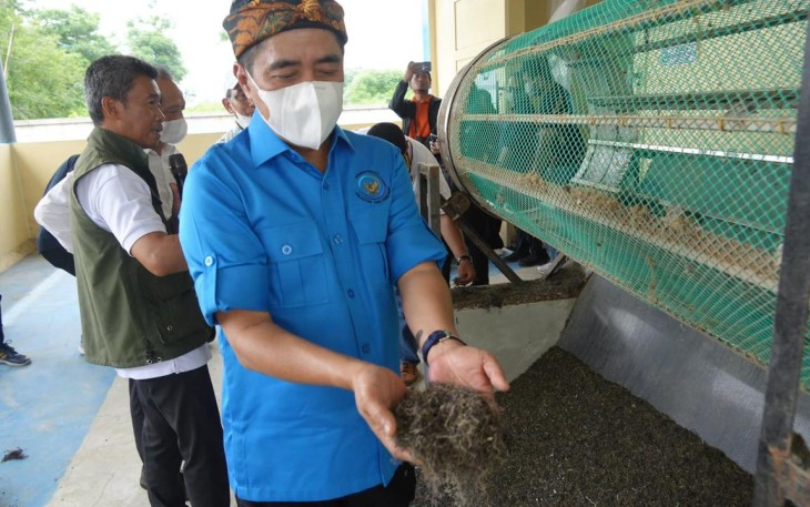 KKP Peringati HGN dengan Perkuat Hilirisasi Rumput Laut di Karawang