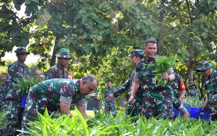  Komandan Kodim 0802/Ponorogo Letkol Inf Dwi Soerjono didampingi Perwira Staf dan Anggota melaksanakan panen syur di lahan ketahan pangan Kodim 0802/Ponorogo bertempat di Jl. Veteran Kelurahan Surodikraman Kecamatan / Kabupaten Ponorogo, Rabu (19/2/2025)