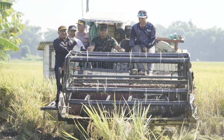 Dandim Madiun Ikuti Panen Raya Serentak Bersama Presiden Prabowo 