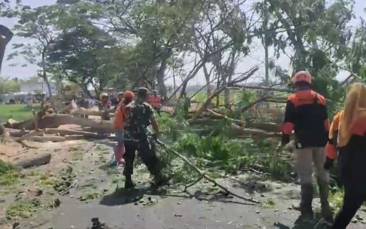 Babinsa Koramil Paron Bantu Warga Tebang Pohon
