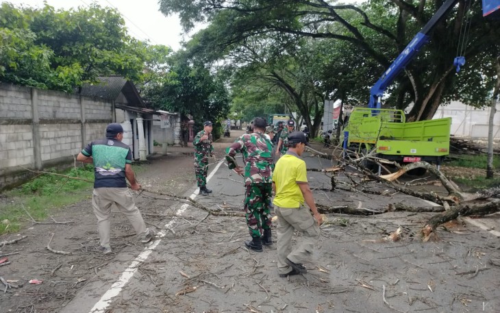 TNI Polri dan BPBD Trenggalek Bersatu Amankan Jalan dari Ancaman Pohon Tumbang