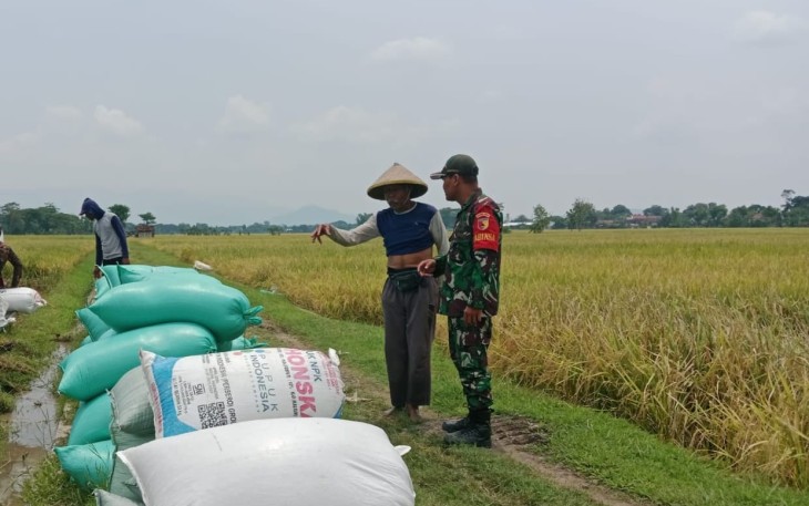 Upaya Babinsa Kodim Ponorogo Sejahterakan Petani