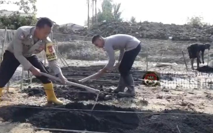 program Pekarangan Pangan Lestari (P2L) di Kecamatan Kuala Simpang, Kabupaten Aceh Tamiang, Kamis (5/2/2026).