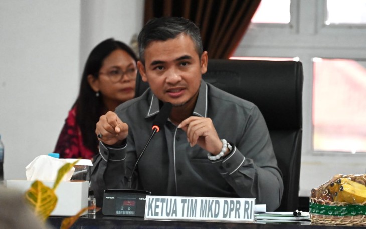 Wakil Ketua Mahkamah Kehormatan Dewan (MKD) DPR RI Imron Amin