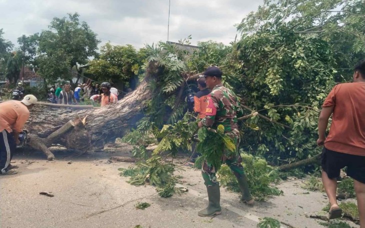 Pangkas pohon rawan bahaya di wilayah desa binaan 