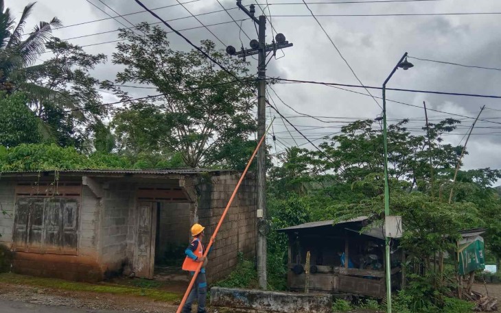 Pembersihan jalur jaringan PLN di wilayah desa binaan 