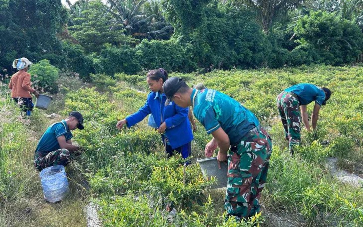 Panen cabai bersama warga perbatasan 