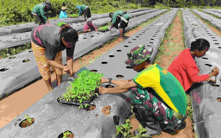 Tamam tomat bersama warga Fatubesi Atas