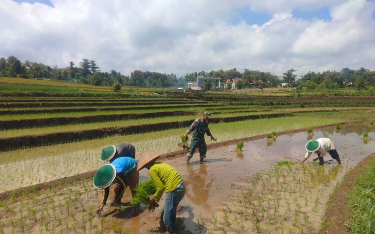 Tanam padi bersama warga binaan