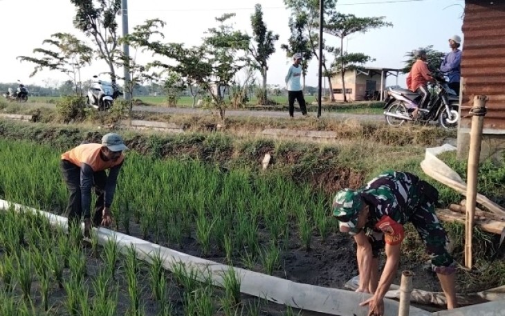 Bantu petani wilayah desa binaan 