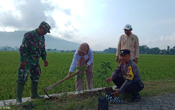 Aksi tanam pohon net zero carbon