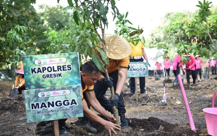Peduli lingkungan tanam pohon