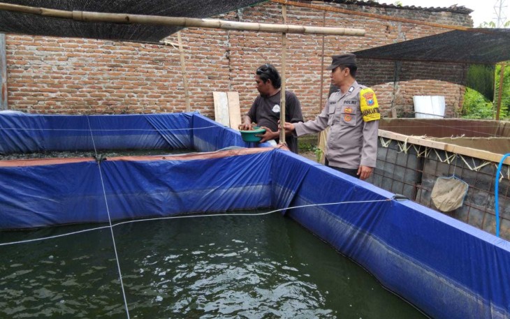 Pendampingan warga budidaya ikan lele