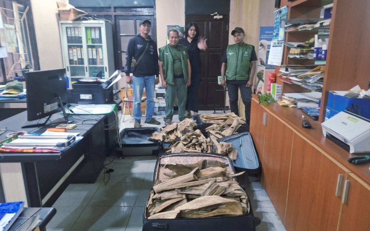 Barang bukti kayu Gaharu