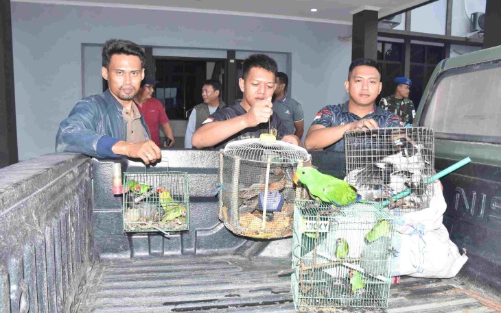 TNI AL gagalkan penyelunfupan satwa dilindungi