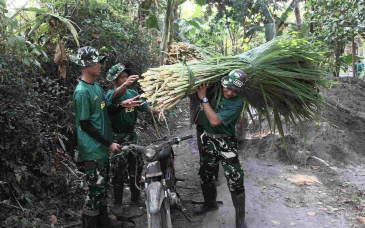Bantu warga angkut rumput pakan ternak