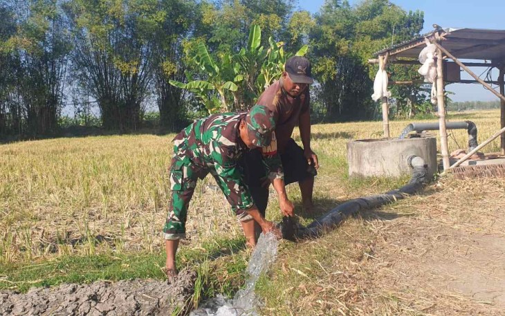 Pengairan sawah petani desa binaan
