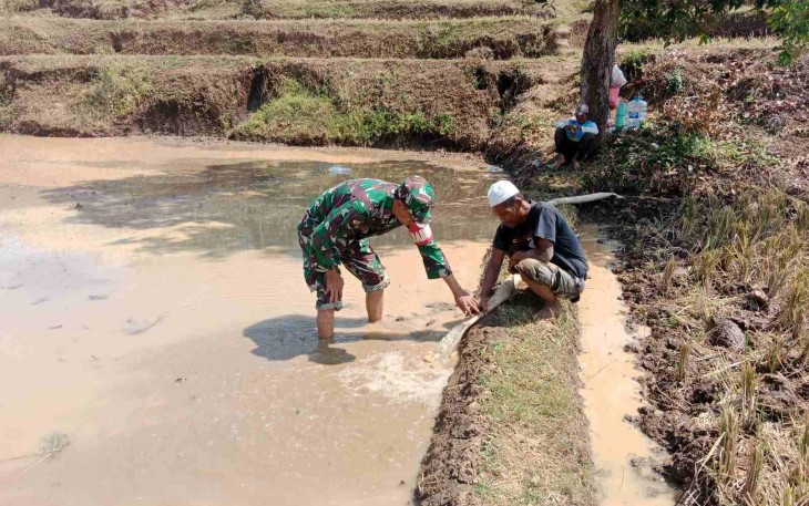 Pengairan sawah petani desa binaan