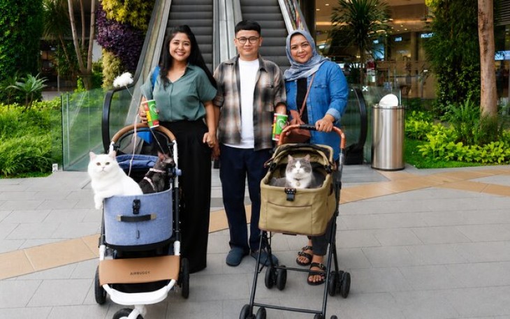 Grand Galaxy Park, cat-friendly mall