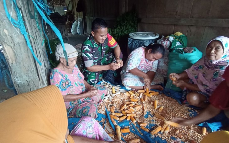 Babinsa Dampingi Petani Muneng olah Hasil Panen Jagung