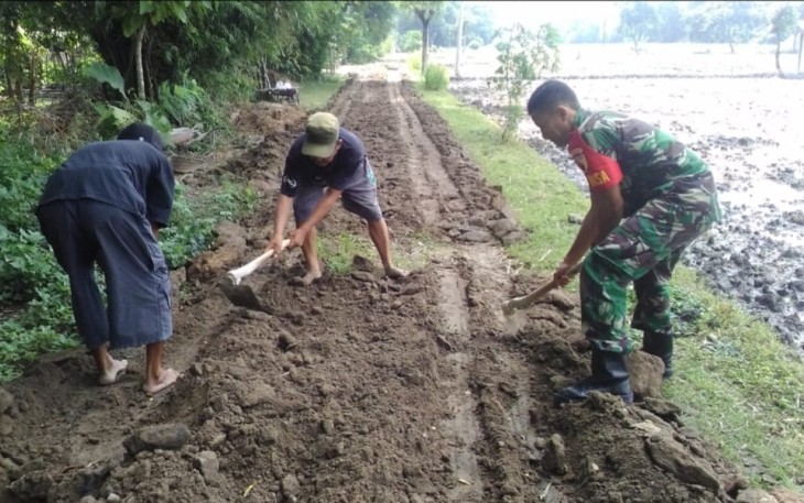 Perbaiki jalan akses persawahan