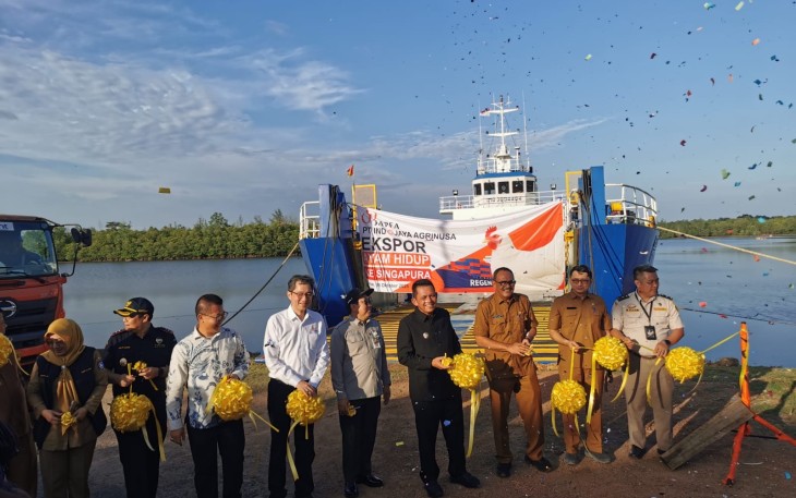 Kepri Satu-satunya Provinsi Pengekspor Ayam Hidup di Indonesia, Perkuat Posisi sebagai Daerah Perbatasan Berdaya Saing