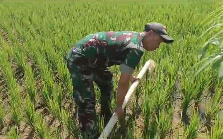 Pendampingan irigasi pertanian wilayah desa binaan