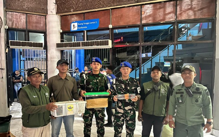TNI AL Gagalkan Penyelundupan Satwa Dilindungi di KM Gunung Dempo