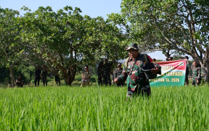 Gelar Aplikasi Hanpangan Terpadu, Para Babinsa Kodim 0801/Pacitan Terjun Lapangan