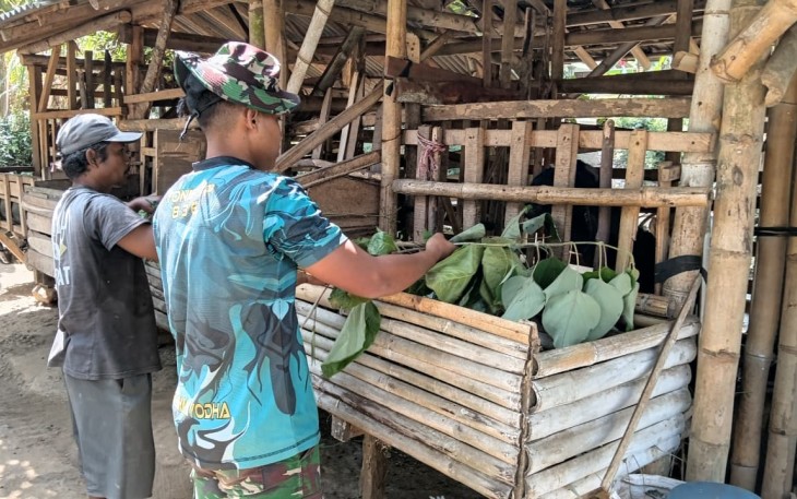 Bantu beri pakan ternak kambing warga dusun Lembenah