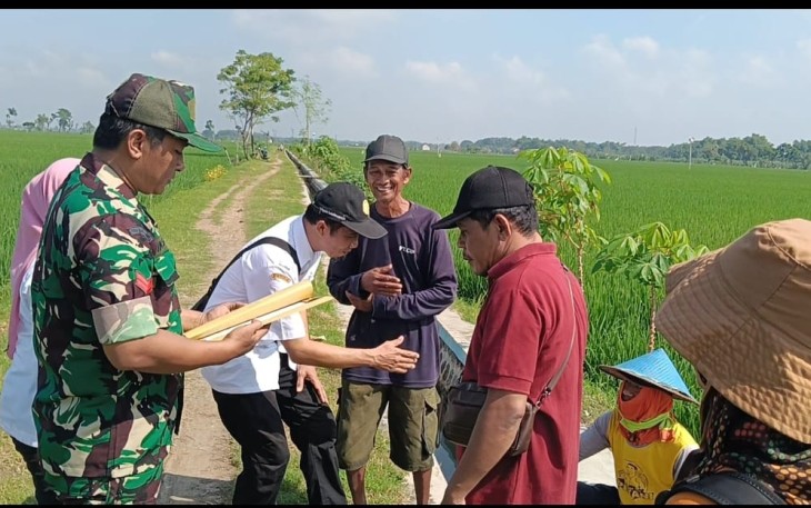 Babinsa Dampingi Petani Wujudkan Ketahanan Pangan