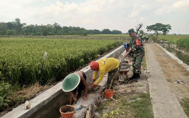 Drainase Dibangun, Harapan Petani Kenongorejo Mengalir Bersama Semangat Gotong Royong