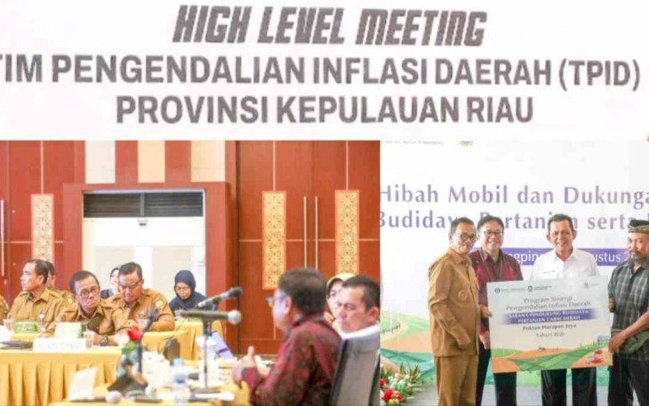 Wawako Raja Ariza Hadiri High Level Meeting TPID Kepri, Dorong Penguatan Sinergi Pengendalian Inflasi