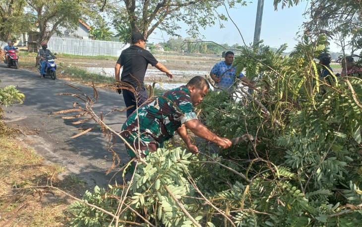 Jalan Pilang Widya Sempat Tertutup Pohon Tumbang, Babinsa dan Warga Bergerak Cepat