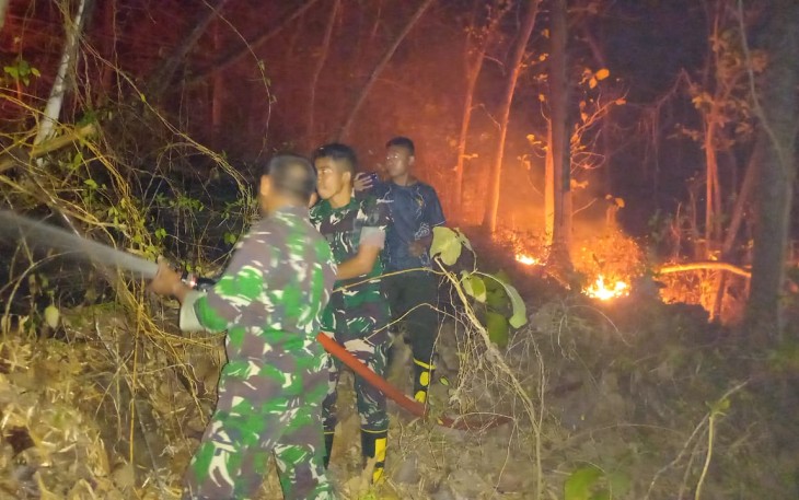 Babinsa Bersama Yon TP dan Warga Padamkan Kebakaran Lahan di Gunung Krandegan