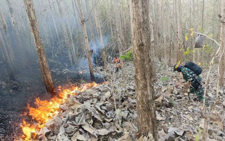 Cegah Kebakaran Meluas, Babinsa dan Perhutani Padamkan Api di Sekitar Hutan Jati Pucangan